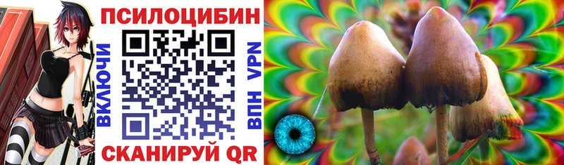 Псилоцибиновые грибы мицелий  Полярный 